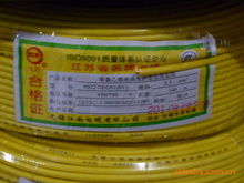 品牌連接未來，專業鑄就信賴——記上海市浦東新區三林鎮曉龍電線電纜經營部